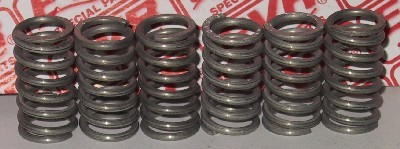 EVR Corse Stainless Steel Spring Kit 