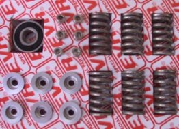 EVR Corse BEARING, ERGAL RETAINERS, SPRINGS AND SCREWS IN STAINLESS STEEL